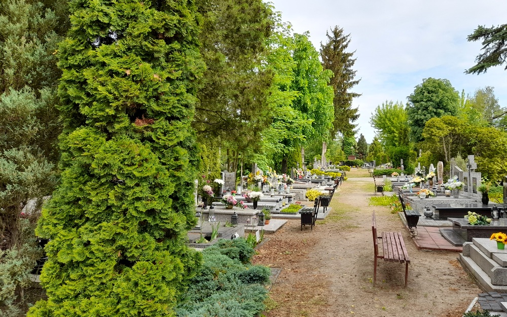 Zdjęcie z Cmentarza Komunalnego