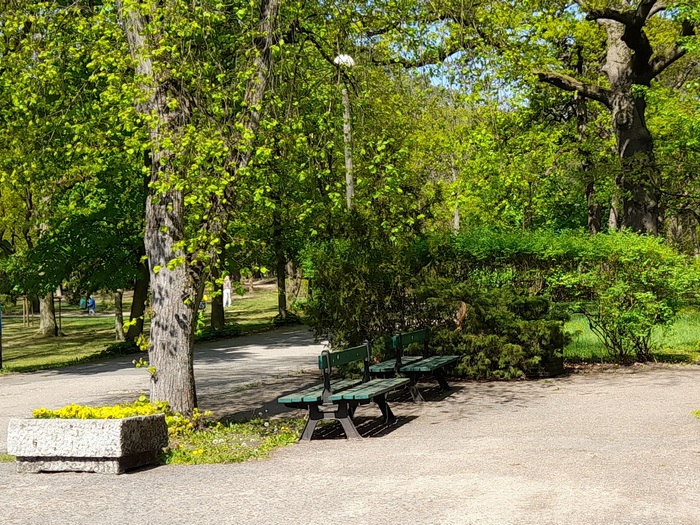 zdjęcie z parku